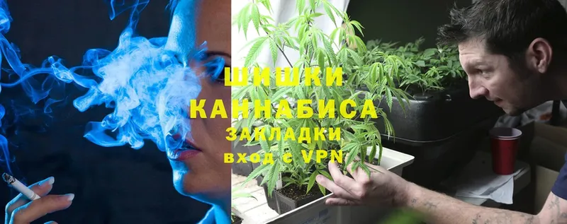 купить   Балабаново  blacksprut зеркало  Каннабис сатива 